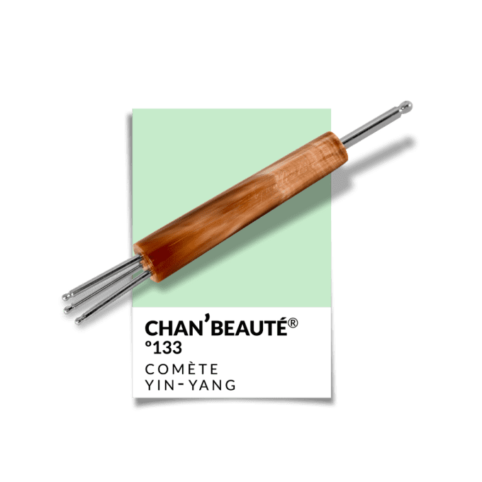 Comète 133