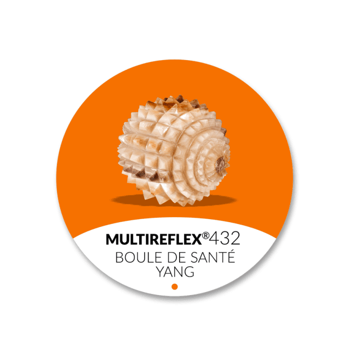 Boule de Santé Yang 432